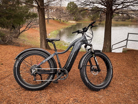 DENAGO FAT TIRE TOP TUBE EBIKE
