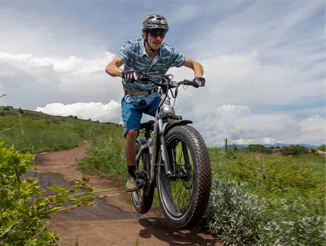 TUNDRA �綯���г�