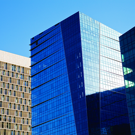 3118�ƶ����ſƼ�