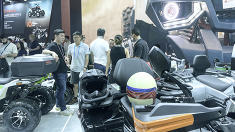 2024�괺���㽻��